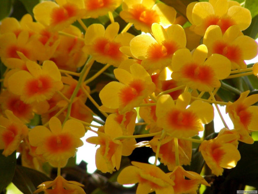 424981 (a): :1600x1200